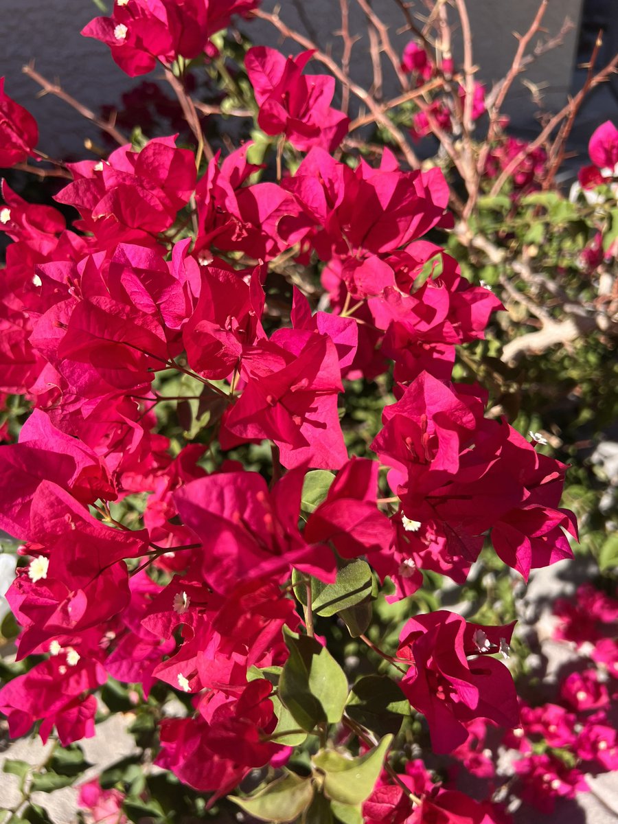 The people and feels that make this place home ✨