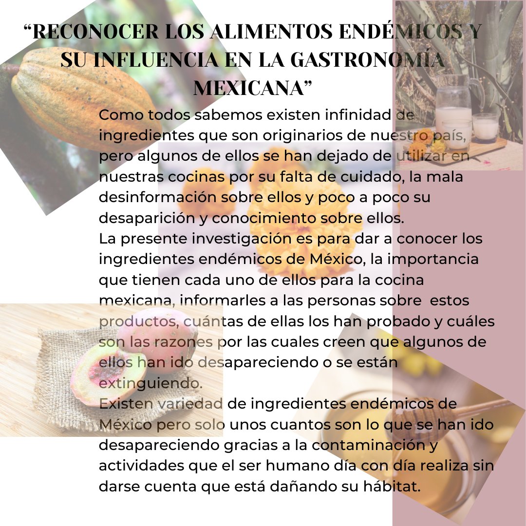 laislazcano's tweet photo. #Alimentos_Endémicos_de_México
#Gastronomía_Mexicana https://t.co/Av0jeG7Jy0
