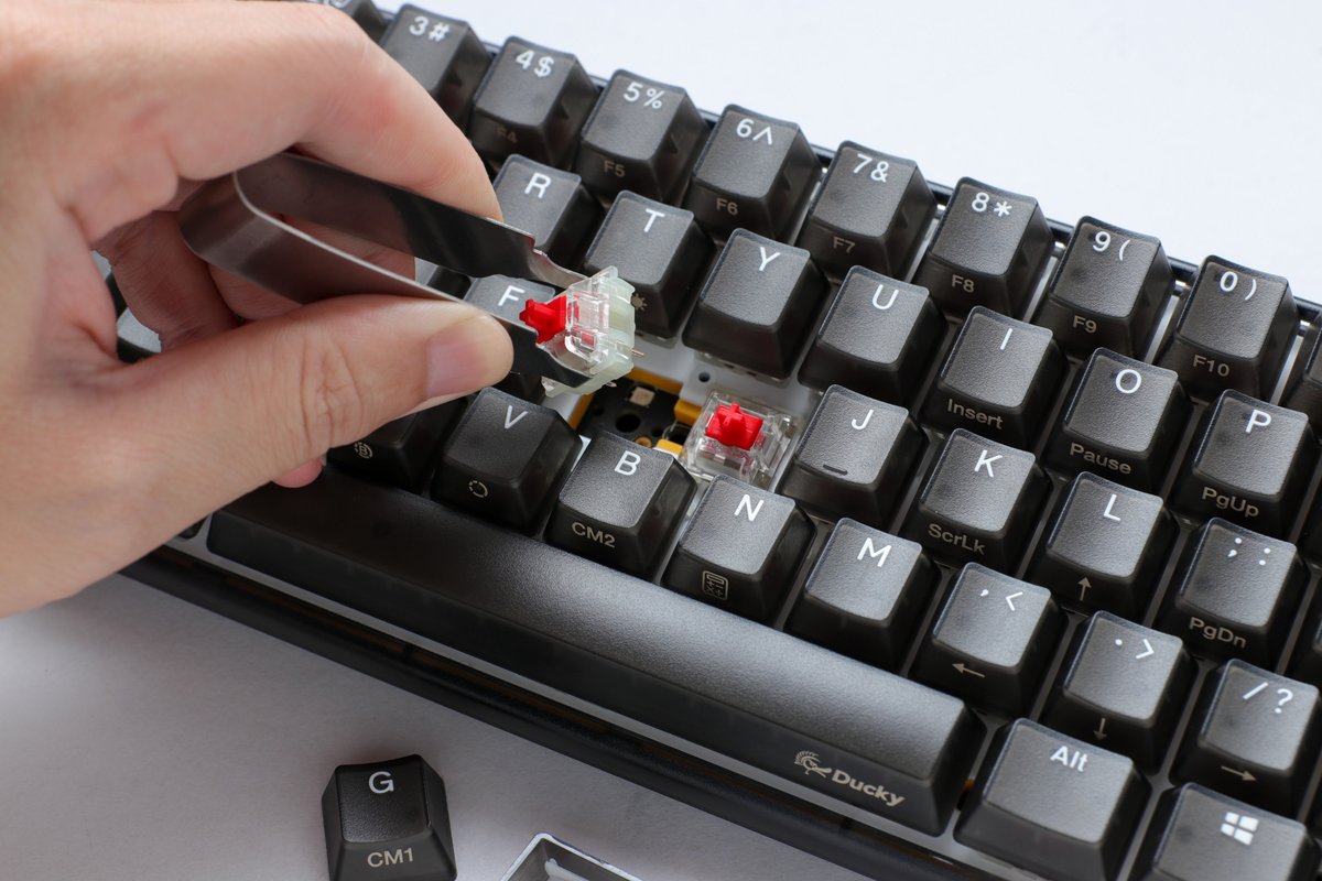 Ducky Global tweet media