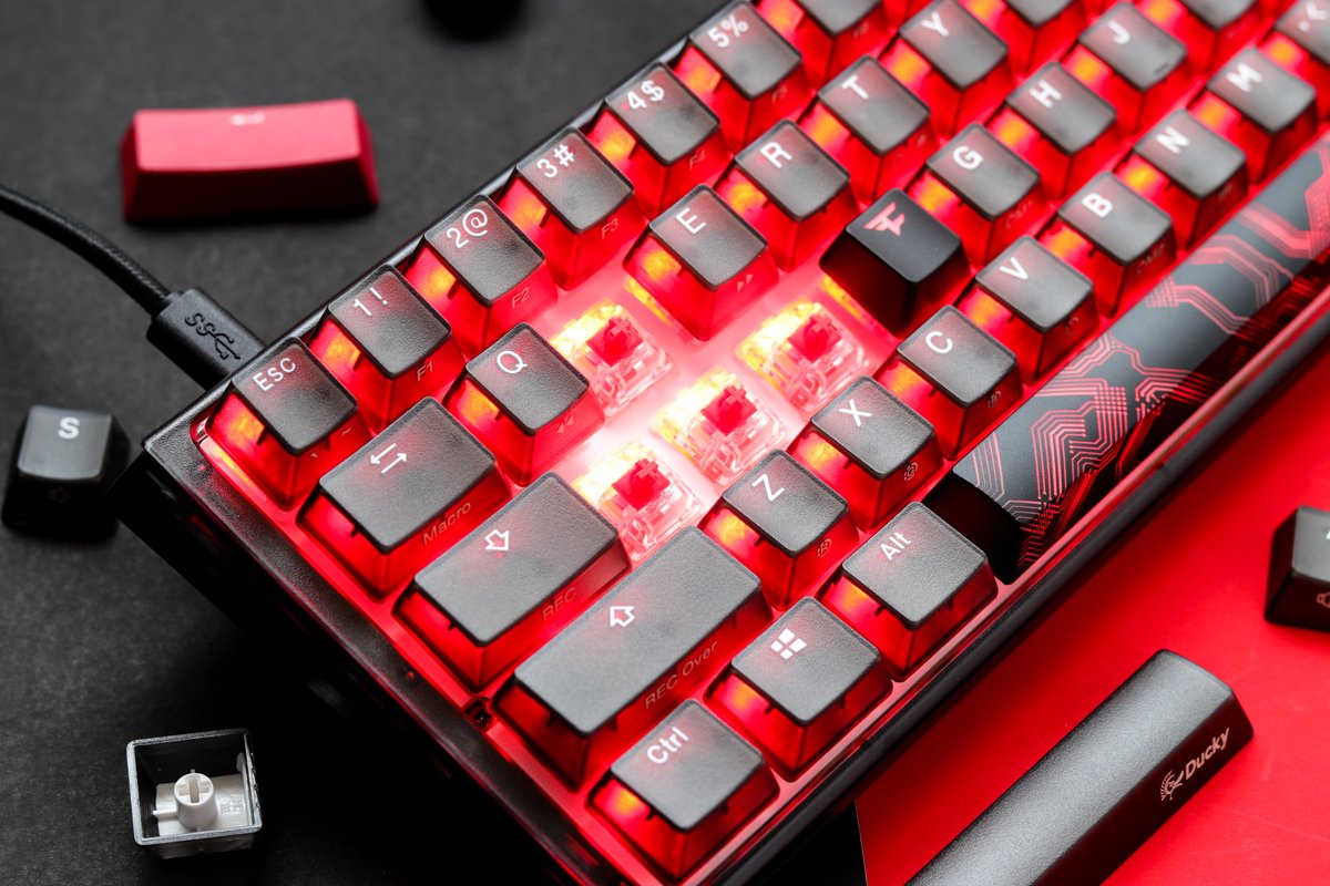 Ducky Global tweet media