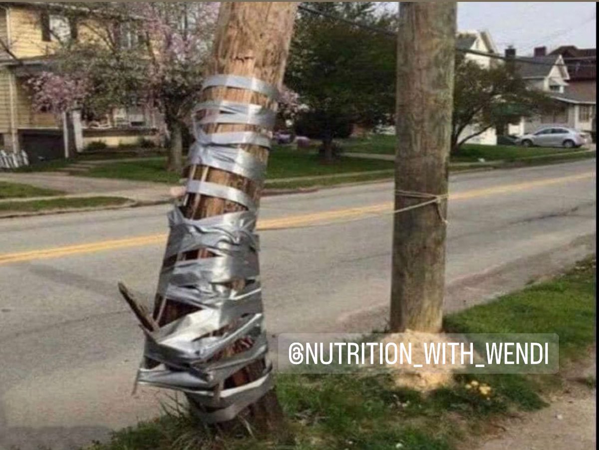 HS Athlete 1st❓to me: What do you think of pre-workout &amp; protein💊?

Me: Are you eating 3-4 meals containing high-quality🍳protein? Consuming 80 oz.💧? Sleeping 7-9 hours?

Athlete: No, I don't have time.

Me: Okay, until you do that, here's the equivalent of what you're doing🤕