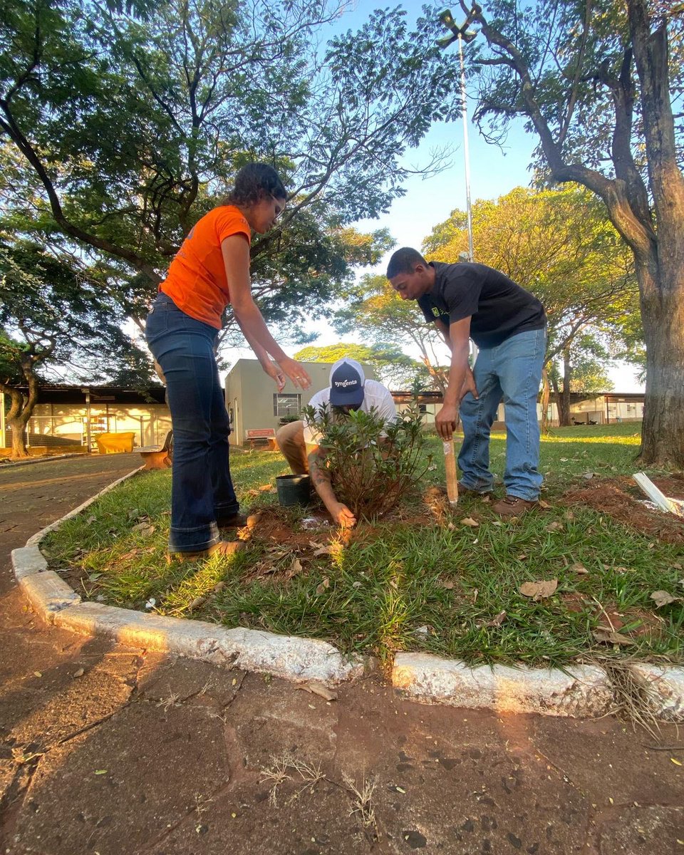 LeeaBrasil's tweet photo. @leea_brasil e @lqabarretos realiza Plantio de árvores na semana do meio ambiente no unifeb
.
#meioambiente #arvore #unifeb #Meio Ambiente https://t.co/9i4yfUY0nG
