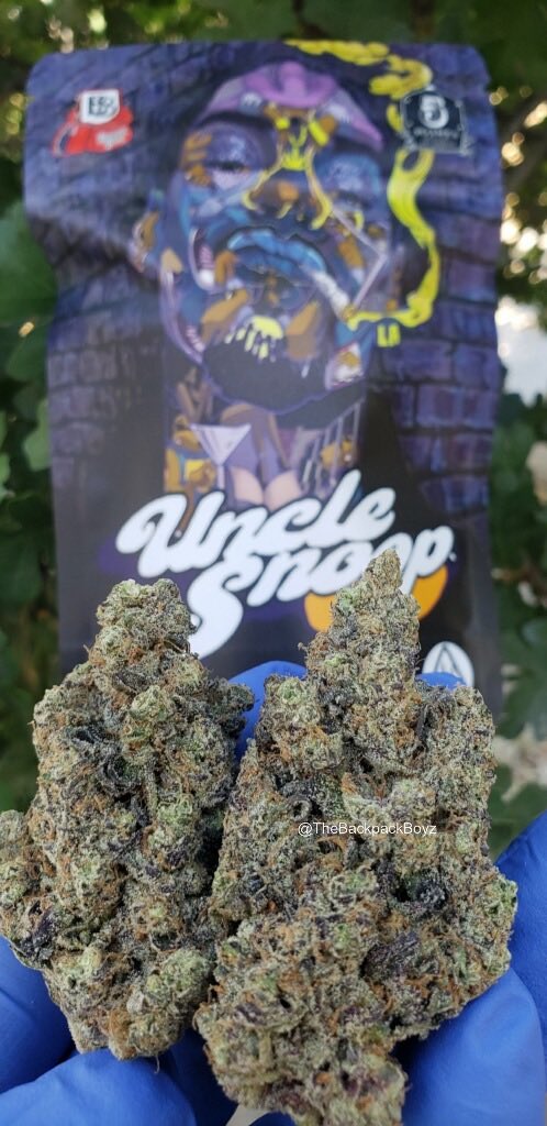 Uncle Snoop #UncleSnoop #TheBackpackBoyz