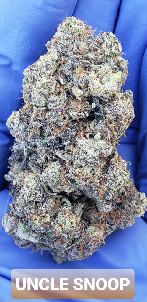 TheBackpackBoyz's tweet photo. Uncle Snoop #UncleSnoop #TheBackpackBoyz https://t.co/HiDjNiemMq