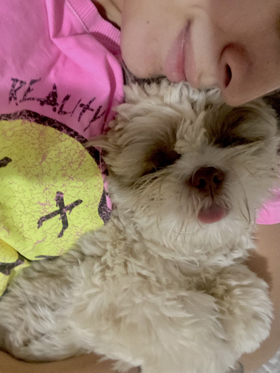 FARRAELAa's tweet photo. boa noite pessu ❤️ https://t.co/fTrEynchE2
