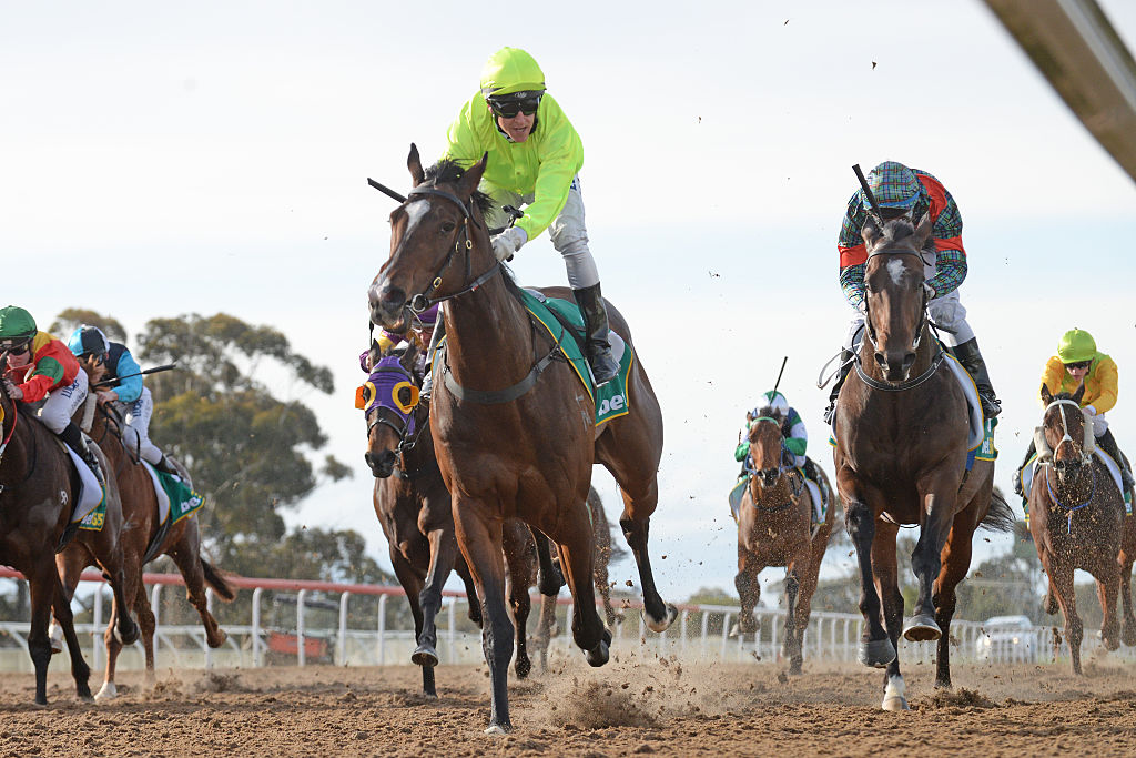 Punters+ tweet media