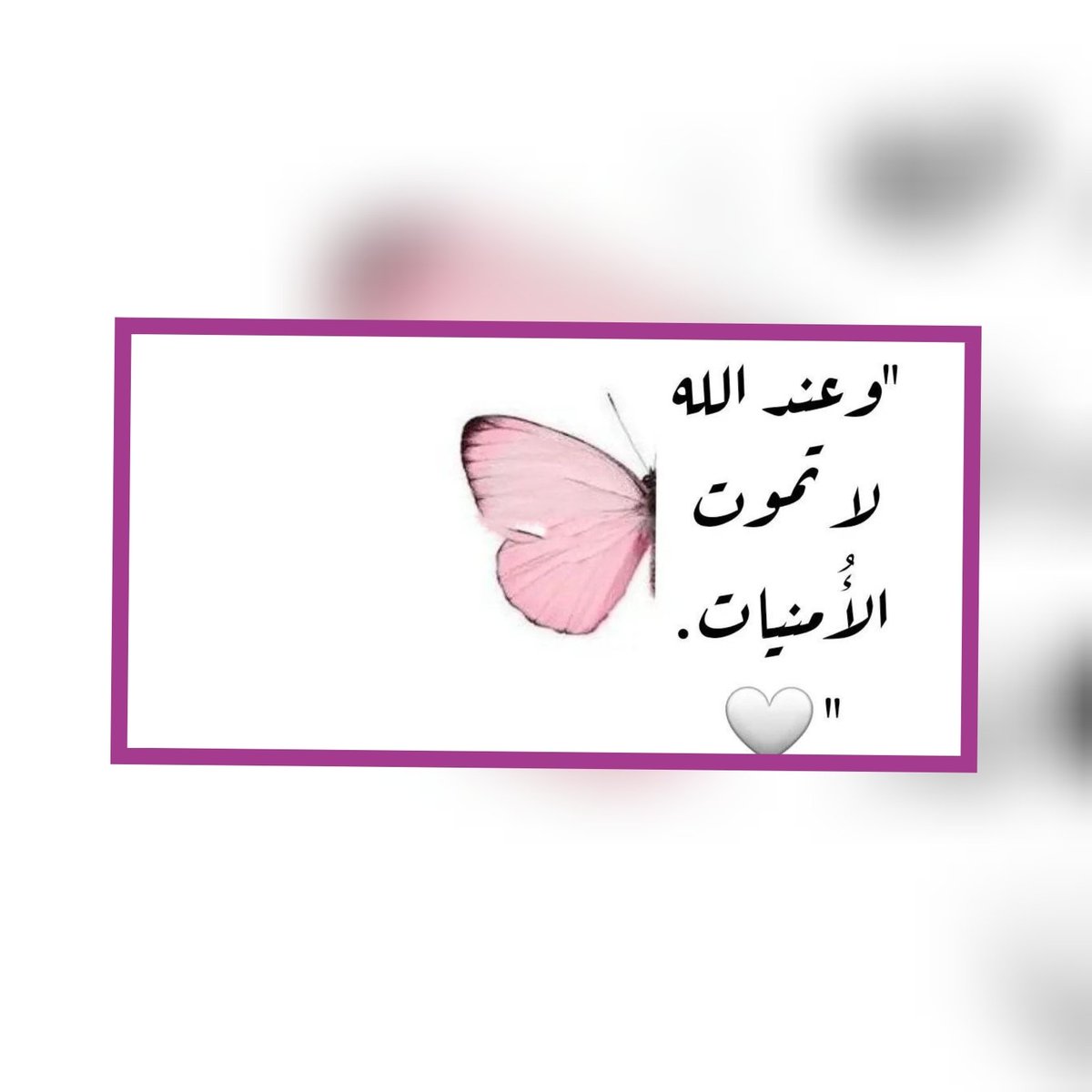 Da3mFahd27's tweet photo. .

 لن
ينساك الله

  إنه يسمع
أنينك الذي تظنه

 لايتجاوز
سقف غرفتك

يسمع نبضات قلبك
في لحظة خوفك

يعلم مايتعبك
ومايشغل تفكيرك

 وحده الله
الذي لاولن ينساك

وحده القادر
على إبدال
خوفك أمان

 ادع الله
 فإنه لن يخيبك

#فهد_ال_حركان https://t.co/tSod945D3E