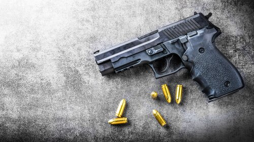 TVA Nouvelles tweet media