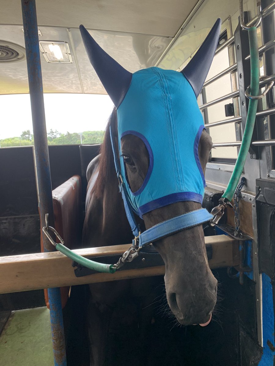 サンパリス、1着入線致しました💮
サンパリス・鈴木祐騎手、ありがとうございました💫