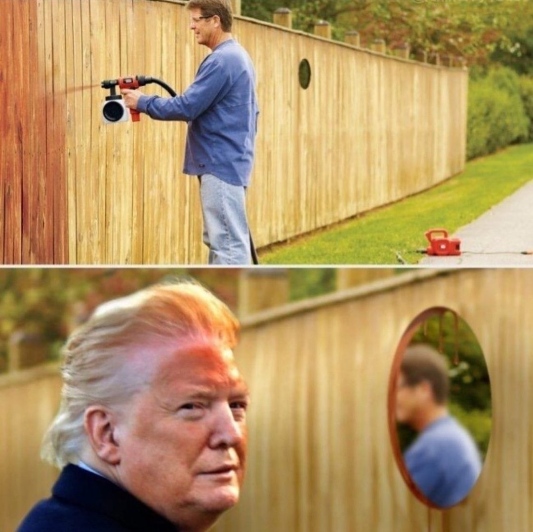Забор Мем