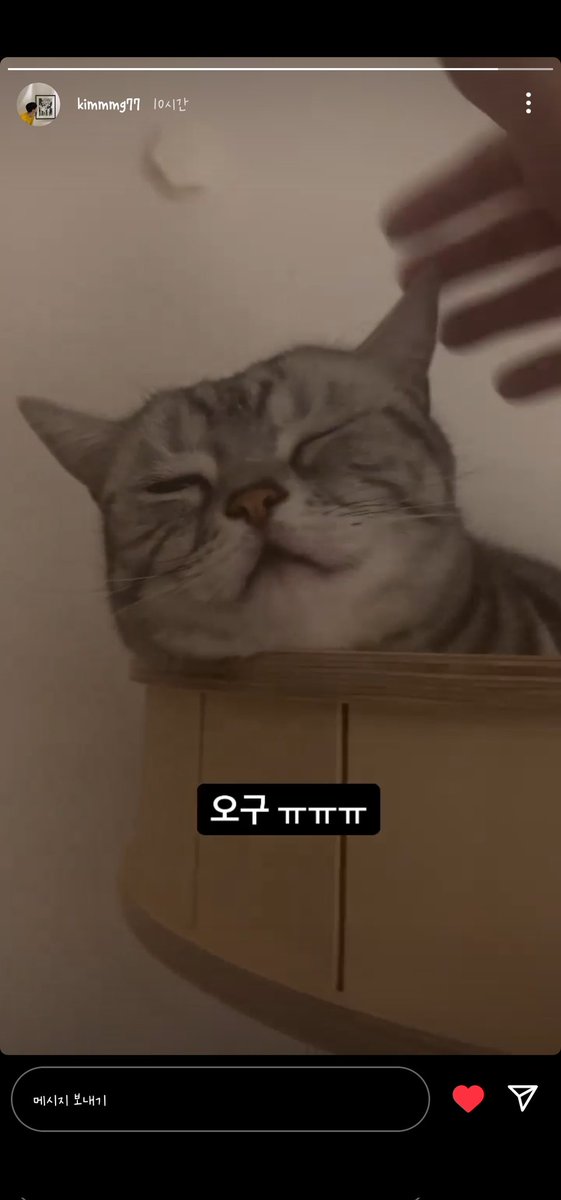 민균님 인스스에 바울🧡