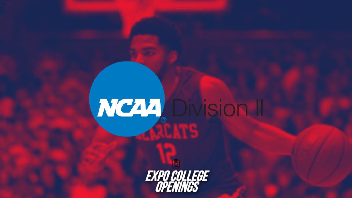 Expo Hoops tweet media