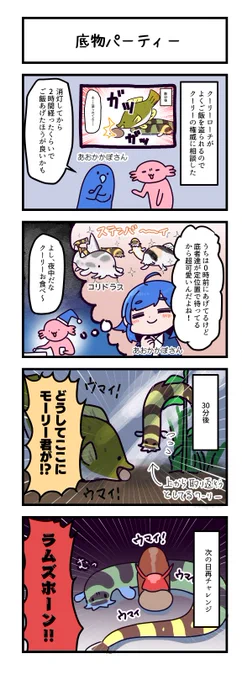 底物ディナーパーティー
https://t.co/IR3sfnulUb
コリドラスも可愛いけれども、種類が多すぎて沼!と聞いて震えてます。 