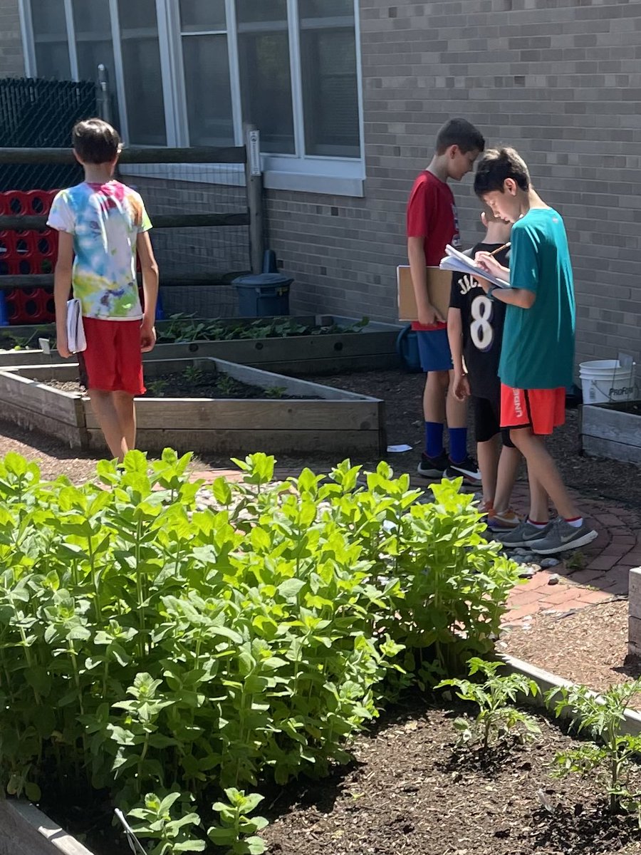 4MrsRussell's tweet photo. Fourth grade scientists making observations of living and non-living things in our environment. https://t.co/AdEhtw8Gu4
