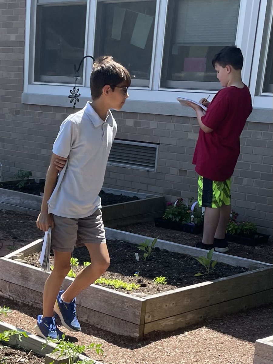 4MrsRussell's tweet photo. Fourth grade scientists making observations of living and non-living things in our environment. https://t.co/AdEhtw8Gu4