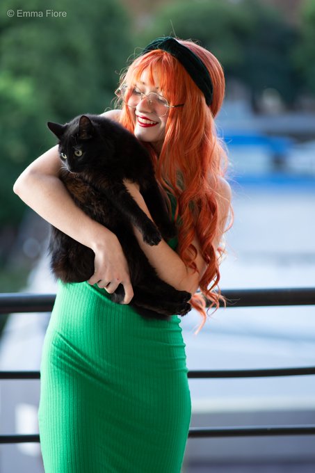 1 pic. Which of the 3 kittens is prettier?🥺 Cual de los 3 gatitos ta mas lindo? 🥺 https://t.co/IZnTx