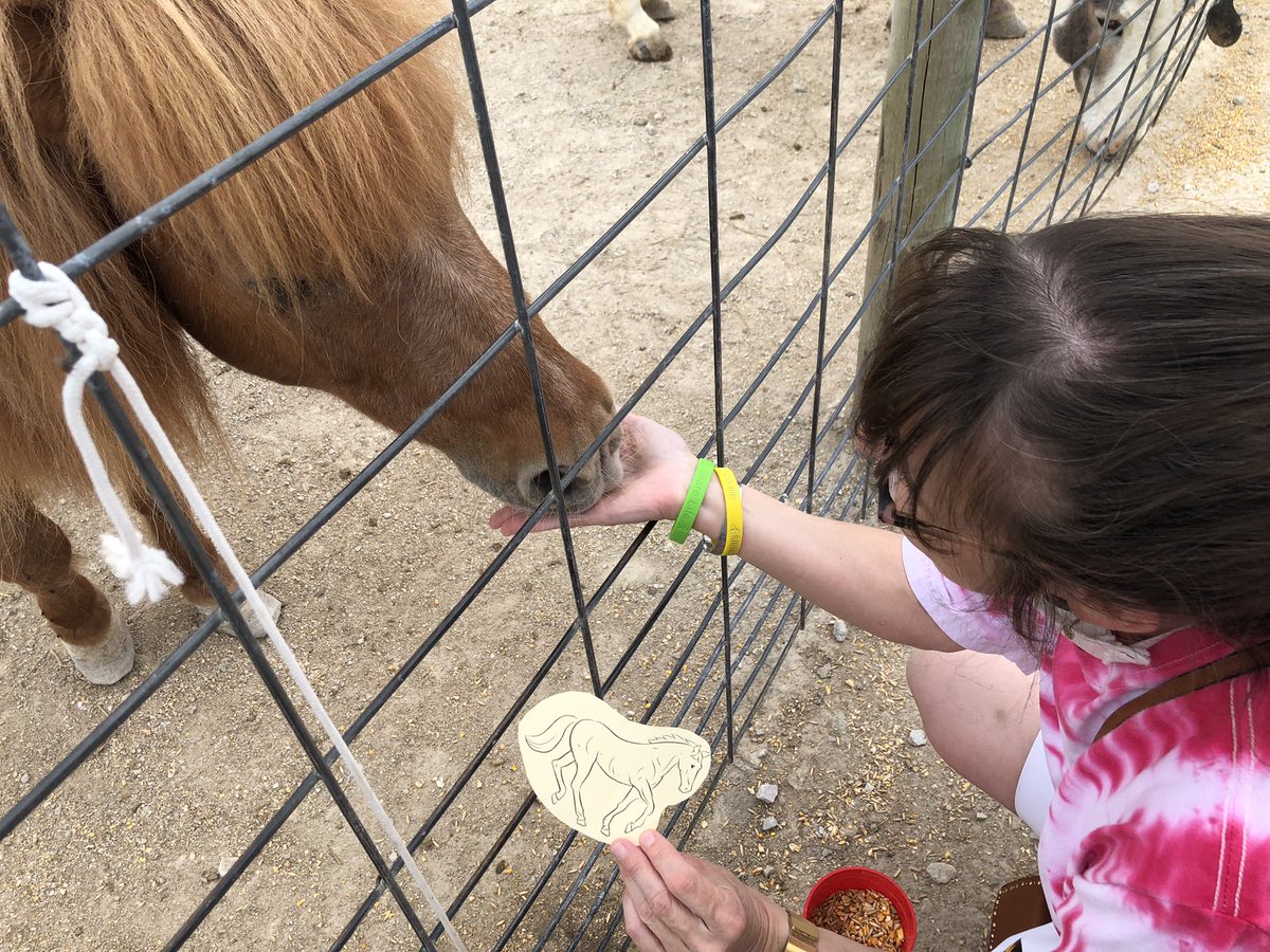 Sharon Salmons tweet media