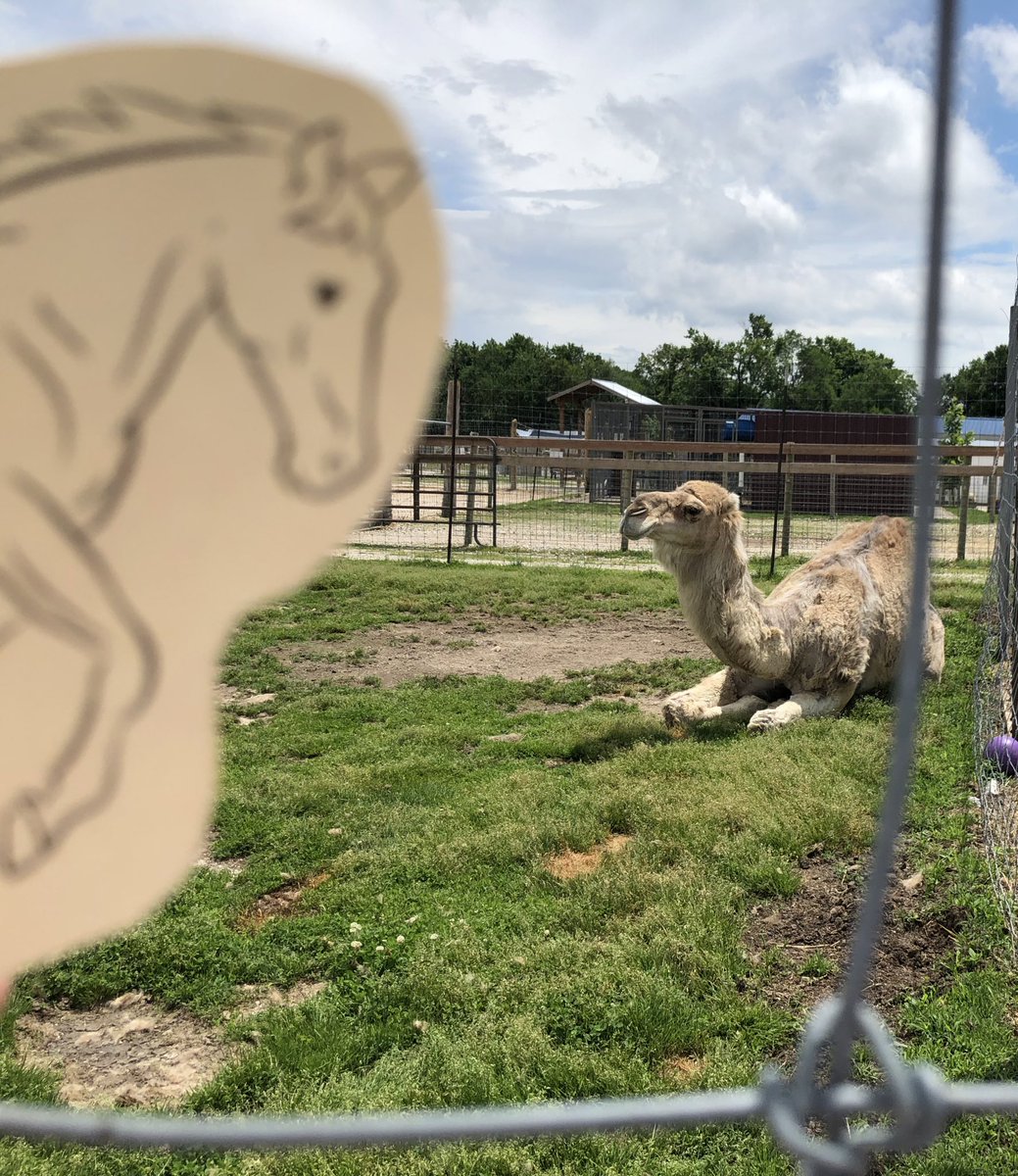 Sharon Salmons tweet media