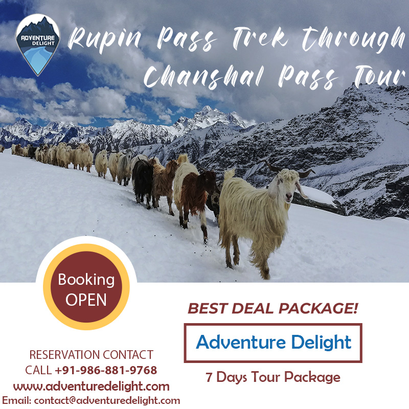 Adv_Delight's tweet photo. Rupin Pass Trek through Chanshal Pass
Choose best deals by Adventure Delight

Visit: https://t.co/jL9y9ggAj3
 
Call: +91-986-881-9768

#rupinpasstrek #chanshalpass #tour #trip #travel #Tourism #tourists #photography #adventure #holiday #Photos #Instagram #India #Delhi #indiatour https://t.co/4a6pGRUzNv