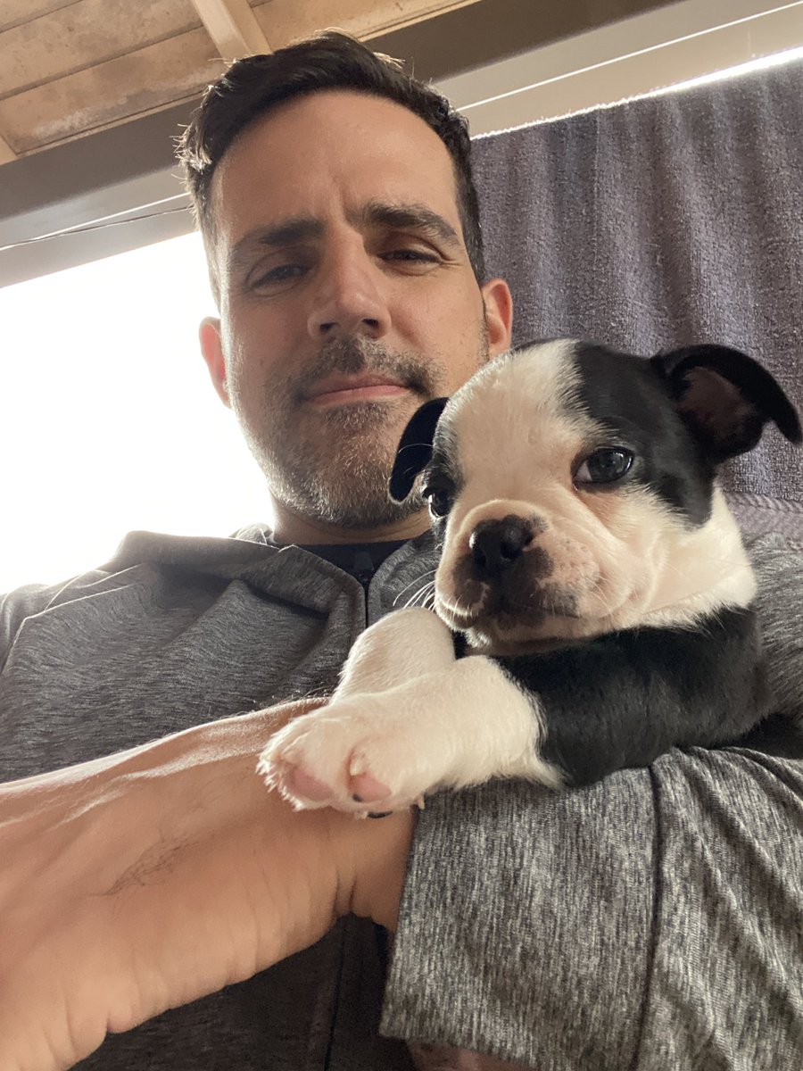 LuisOlavarrieta's tweet image. Y entonces... no es un galán 🐶❤️