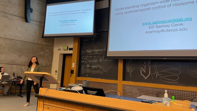 Cenik Lab (@ceniklab) on Twitter photo We had a great time at #RNA2022. Lots of exciting talks including from <a href="/SarinayElif/">Elif Sarinay Cenik</a> and @Jamie_Yelland. Looking forward to watching the recorded talks that we missed during the meeting. We had a great time at #RNA2022. Lots of exciting talks including from <a href="/SarinayElif/">Elif Sarinay Cenik</a> and @Jamie_Yelland. Looking forward to watching the recorded talks that we missed during the meeting.