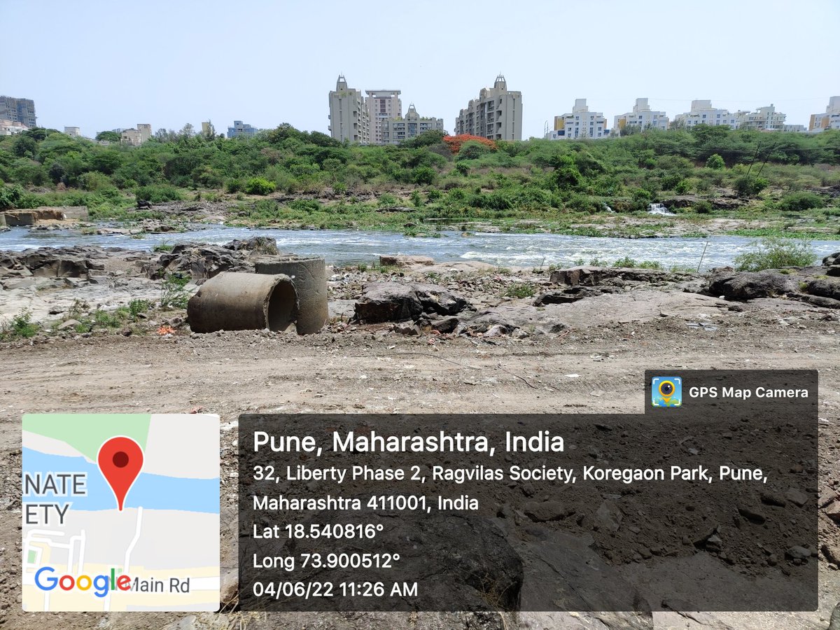 SalimAli_Bird's tweet photo. No surprises here! Closer in Pune, destruction of riverbed at Salim Ali Bird Sanctuary goes without blinking because we like "beautified" concrete river over natural flowing biodiversity rich river banks.... @HillsPune @Vanarai_Pune @SmartPune @Jeevitnadi @sudhirmehtapune https://t.co/UySL9vqh4e