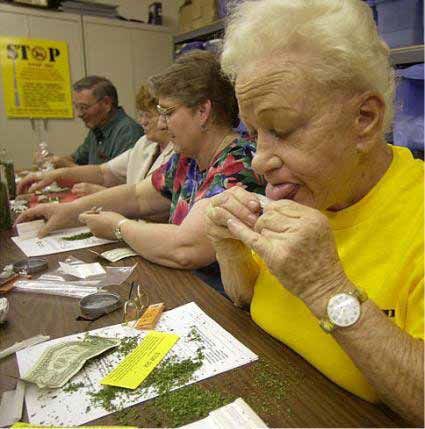 fumeimuito's tweet image. - maconha é só uma fase de adolescente

eu com 60 anos: