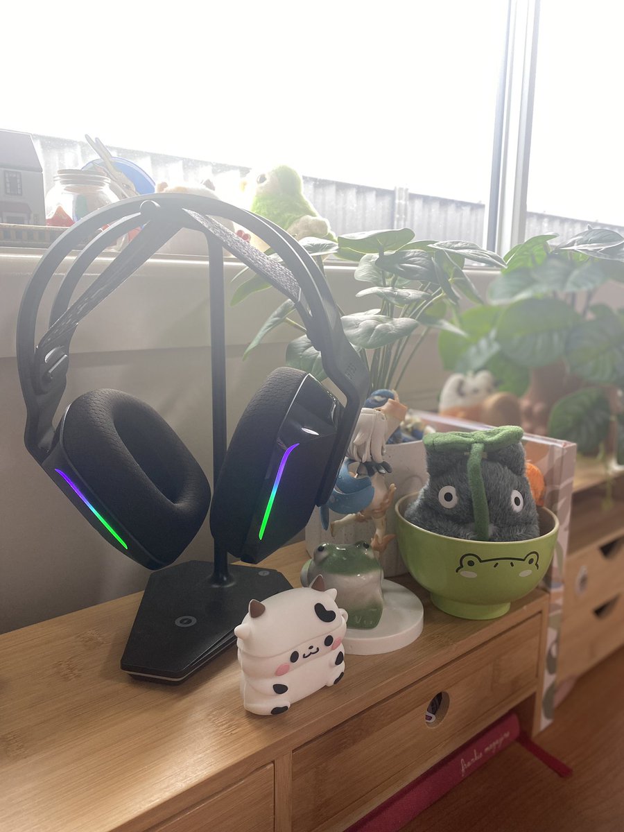 itbeVani's tweet photo. Picked up my dream headset today! They are absolutely amazing. 
#logitech #logitechG733 #G733headset https://t.co/NuwdcQWwbJ