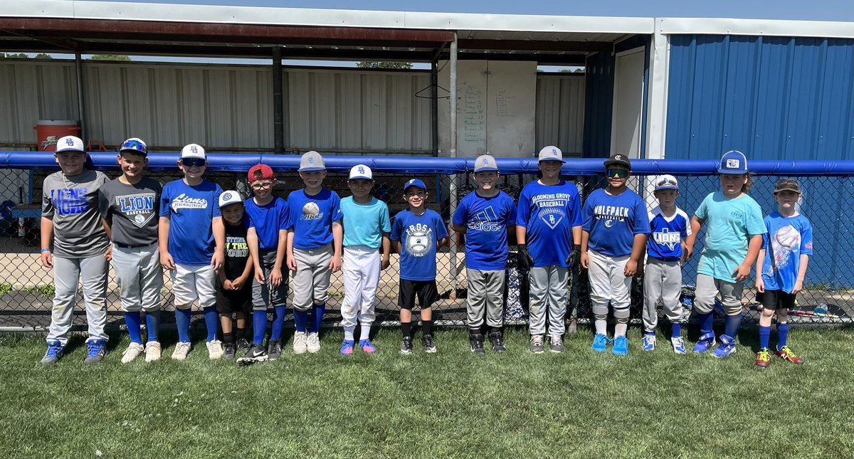 Blooming Grove Baseball ⚾️🦁 tweet media