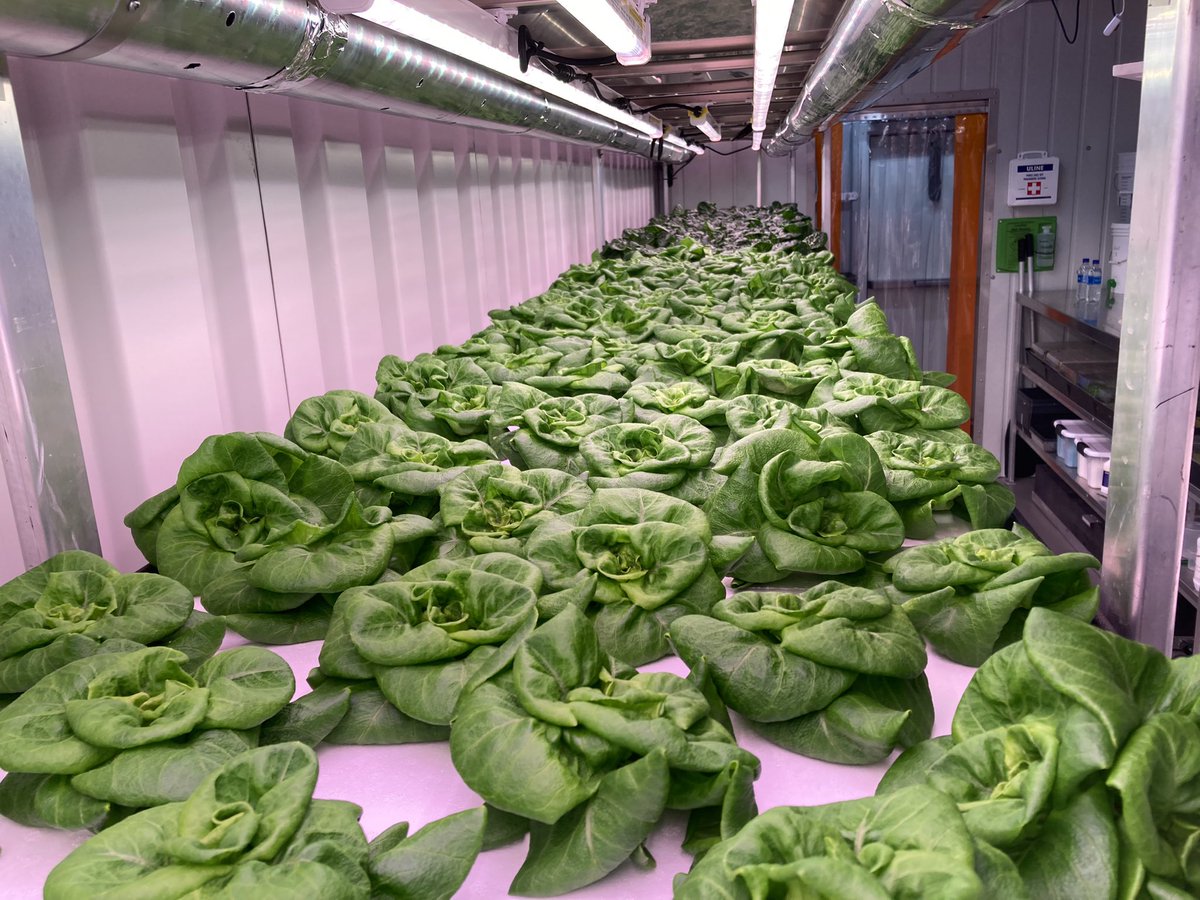 Prairie Principal, M. Ed tweet media