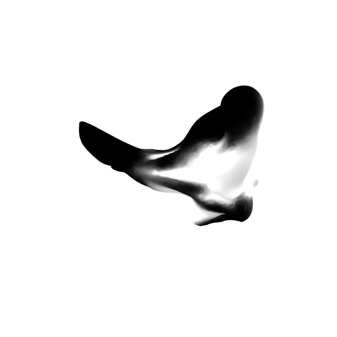 neotasteak's tweet photo. Bird Writing #18

#NFTs #NFT #NFTCommunity #NFTDrop #NFTartworks https://t.co/O2ztVTDS2d