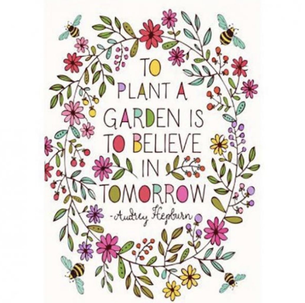 Debbie Johnson tweet media