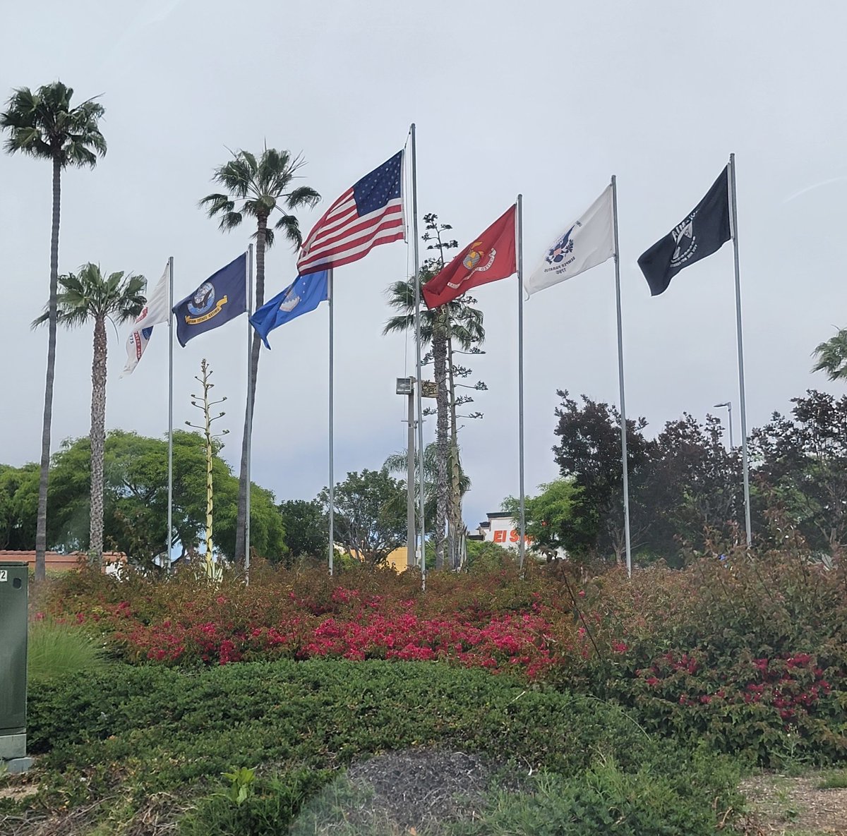 Voting on D Day, humbled and privileged