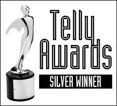 Hey, we won a Silver #TellyAward for our <a href="/PageTurnerAdv/">PageTurnerAdventures</a> 2021 Virtual Summer Library Program Series! Woot!