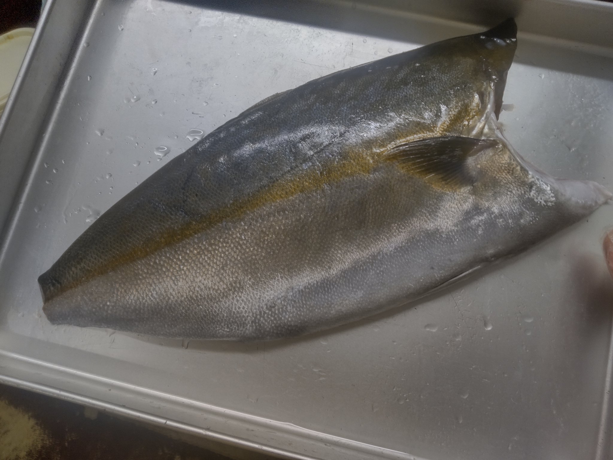 تويتر 丼丸龍滝野川店 على تويتر 今日は高級白身魚のカンパチ 生本マグロ 高級魚マカジキは炙りで 写真はa丼ですよー T Co Ebmhykiy9b