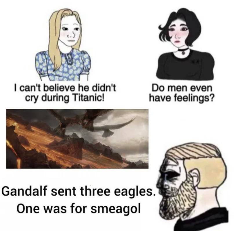 Right in the feels!

#memes #LOTR #Eagles