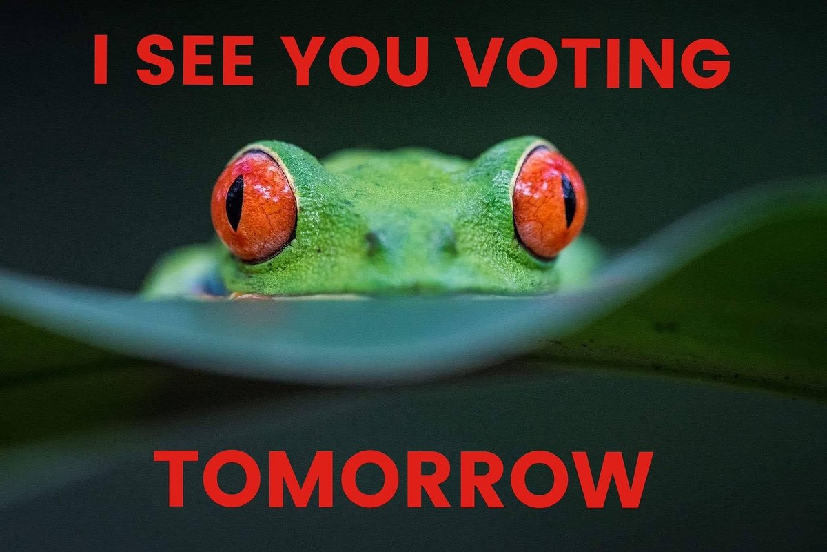 miracleguppy's tweet photo. 🗳💥 TUE CA, IA, NJ, NM, MS, MT, SD HOLD PRIMARIES 💥🗳

💥 Return Signed Ballot To Drop Box NOW
💥 VOTE In Person TUE June 7
💥 Primary can be "the winning race"

Info: https://t.co/FsMHDO2rAn

#PostcardsToVoters #VoteCA #IADem #VoteNJ #NMDem #VoteMS #MTDem #VoteSD https://t.co/Cd5uYAyOtr