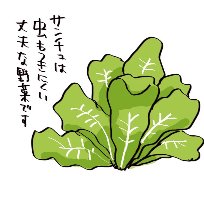 【絵日記】サンチュは丈夫
https://t.co/qMAFGsC9bg 