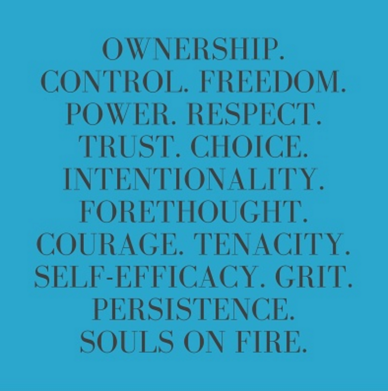 MissTateMidkiff's tweet photo. Unit 1 Assignment-the "Ah-ha's"
1. Good ideas, like learning, develop over time. 
2. Students exhibit deeper understanding (agency) when they persevere, and overcome a challenge. Just having the skills to do so isn't enough. 
 #ParkEdTech https://t.co/kZPOOSHrkk