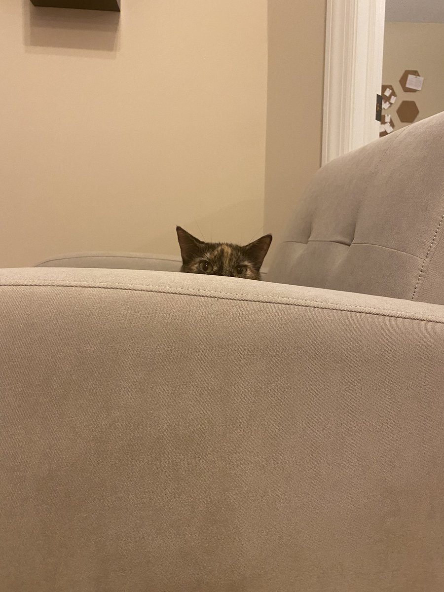 Presented without comment