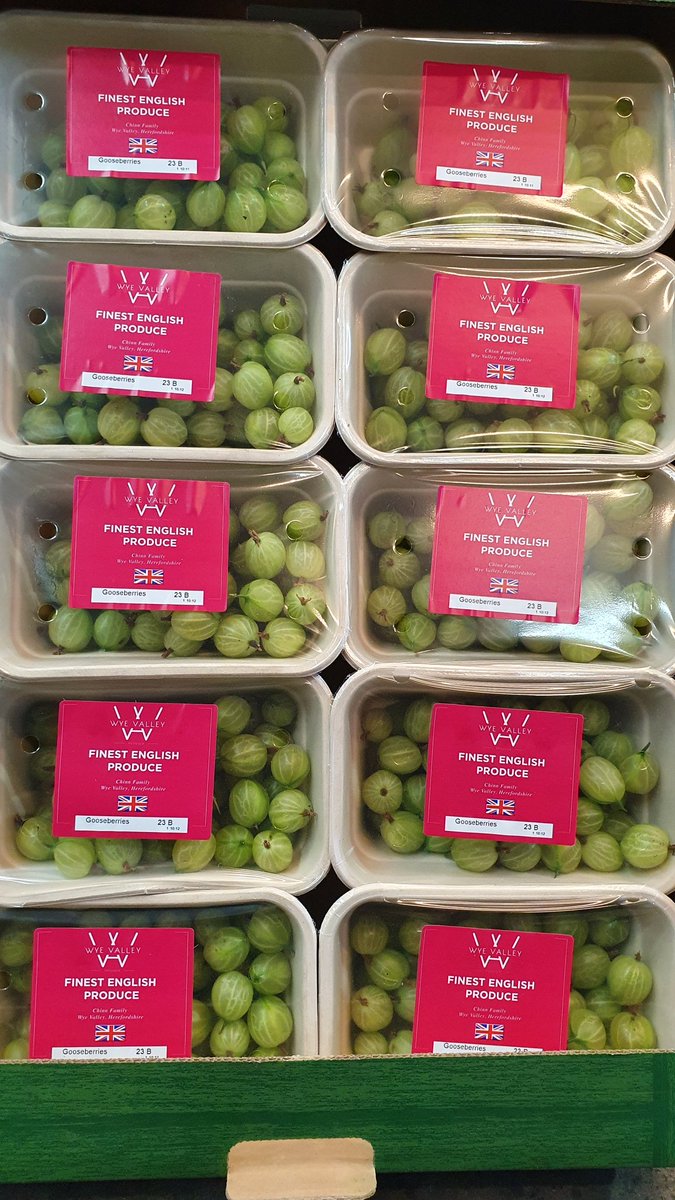 First Gooseberries of the year from <a href="/WyeValleyAsp/">Wye Valley Produce</a> 👌🏼🇬🇧 #gooseberry #britishproduce #fgb #bristolmarket #berries