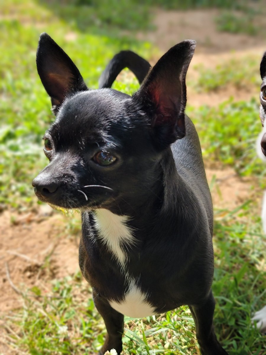 Five Finger Jeff Punch 👊🏽 tweet media