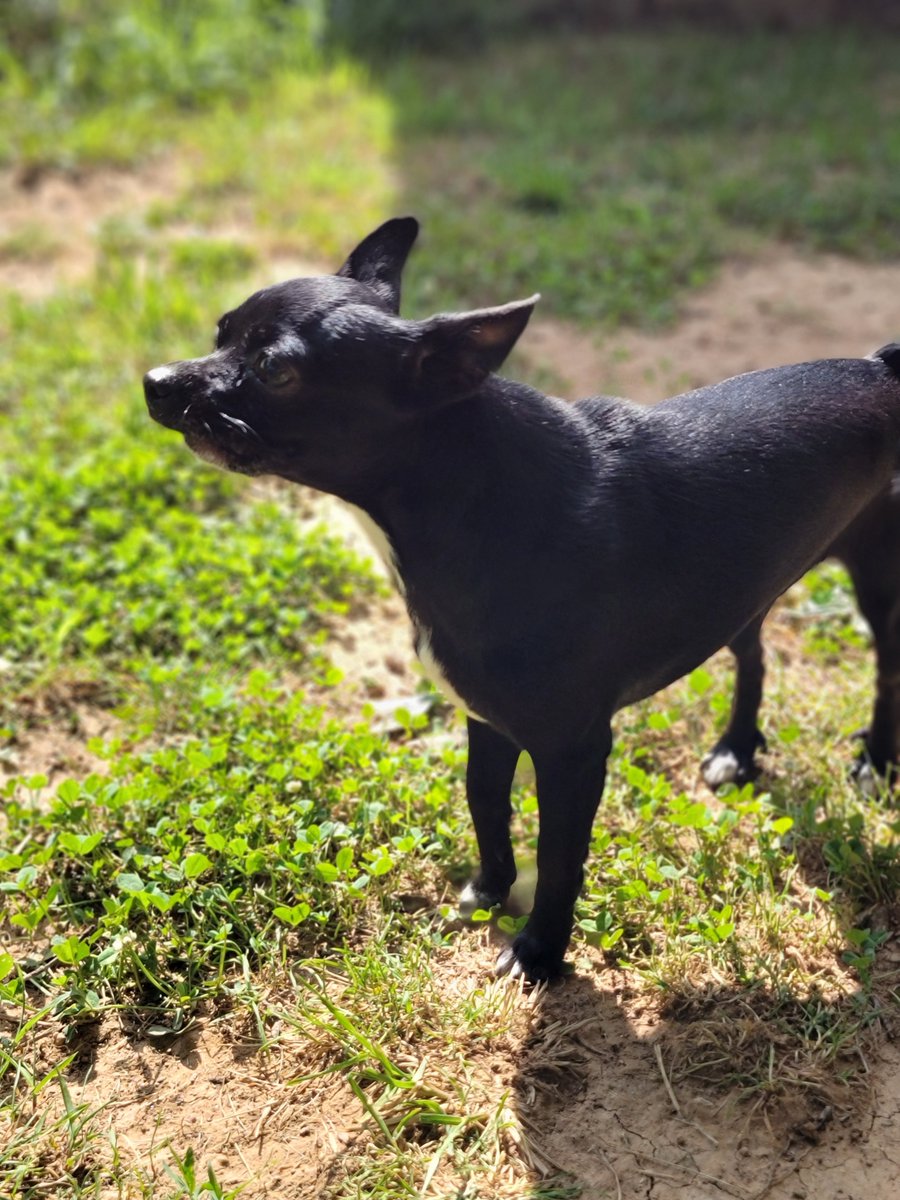 Five Finger Jeff Punch 👊🏽 tweet media