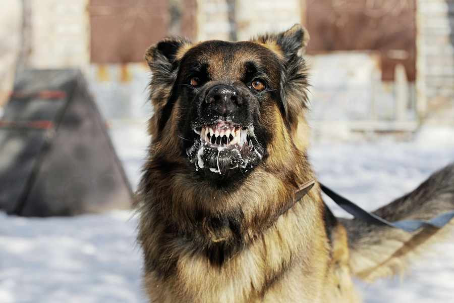 Luke Sherley tweet media