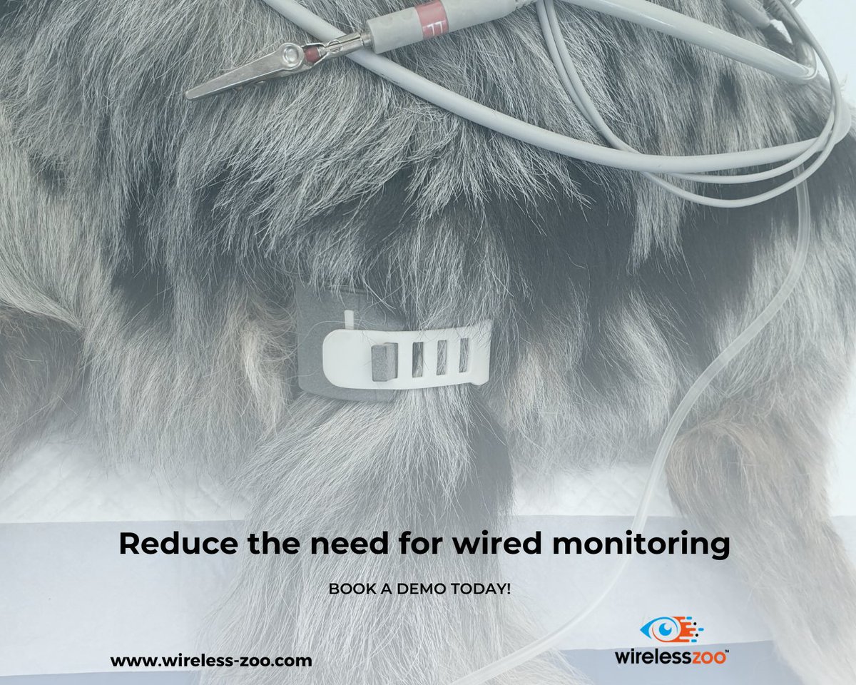 alphavts's tweet photo. By reducing the need for wired monitoring systems &amp; regular physical checks, WirelessZoo can help reduce stress for patients and optimise your practice's workflow while maintaining high clinical standards.
For more information go to https://t.co/EyYG6i8Ht2 
#vetmed #veterinarian https://t.co/Qk46E7sz2O