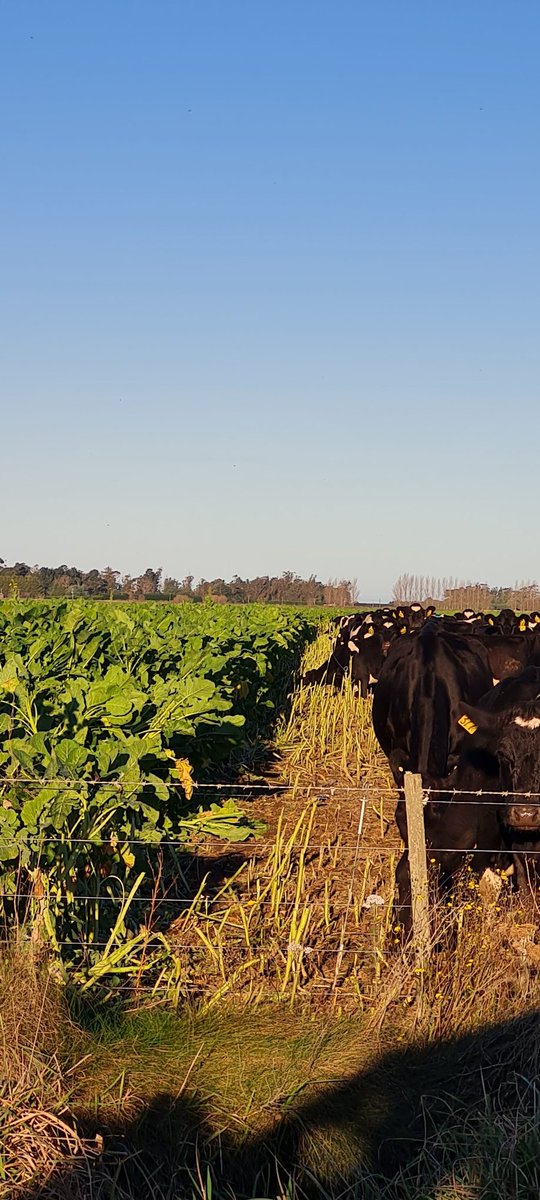 Farmers No Borders tweet media
