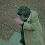 Photo by smaller columbo (@smallercolumbo)