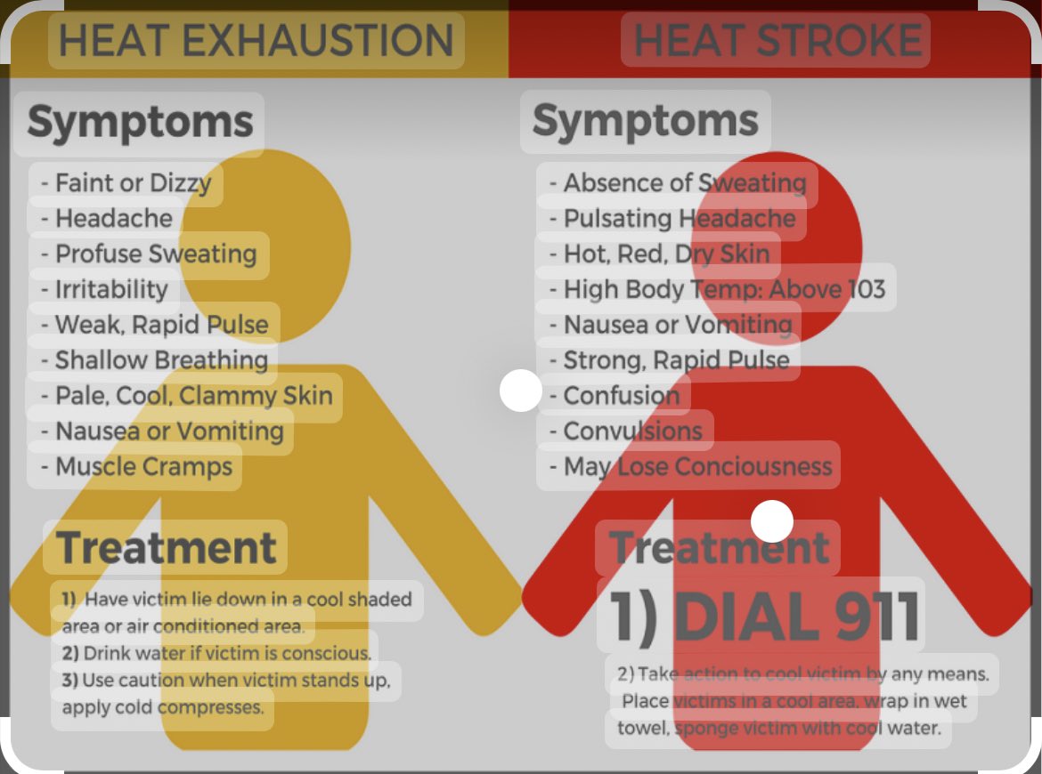 cheer_falcons's tweet photo. With summer camps in full swing make sure you stay hydrated and cool off when needed! https://t.co/dDdEaMMFMf