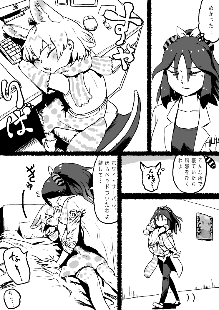 カコさんを寝かしつける係 ホワイトサーバル編
#けものフレンズ 