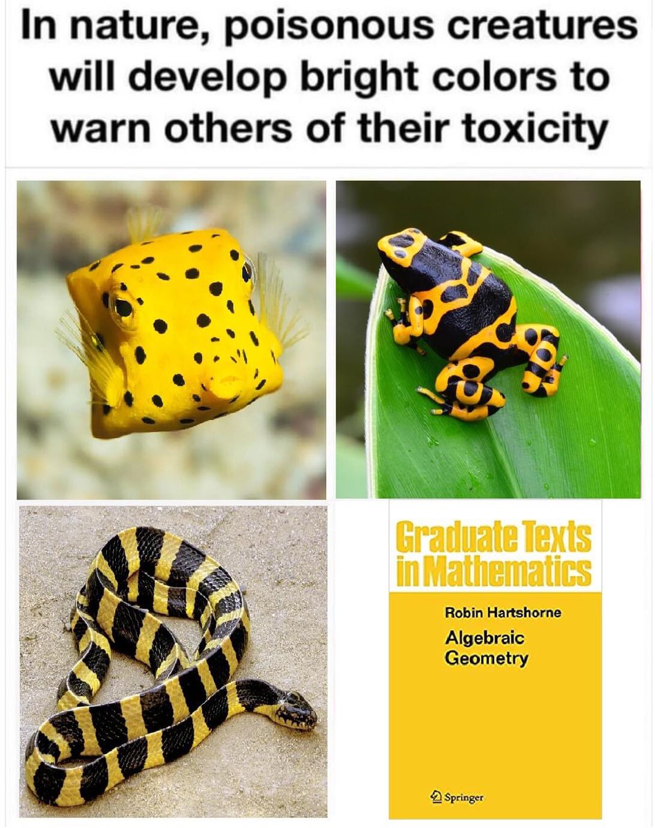 MemeArcana's tweet image. /via Mathematical Mathematics Memes